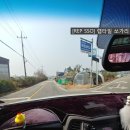 평동중학교 | [REP SSO] 렙타일 쏘가리, 광주 굼벵이 농장 후기
