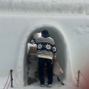 청솔마을 경로식당 | 애견동반 가능 청양 알프스마을 칠갑산 얼음축제 후기 | 예약방법 입장료 눈썰매 꿀팁 총정리