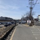 꾸숑크로플 | 안성 애견 동반 카페 “모모의 산책” 멍푸치노 맛집