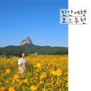 진안고원 로컬푸드 플랫폼 | 전북 진안 가볼만한곳 마이산 가을꽃축제 10월 꽃구경 여행코스