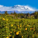 힐링섬 코스 이미지