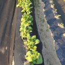 덕유공방펜션 이미지