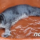 문암수산