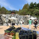 씨유대야복지로점 | 2025 김천 김밥축제 솔직후기 - 주차꿀팁, 아쉬웠던 점