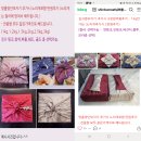 신부축산 | 💐 Wedding Prep | 신부축산 | 양가 부모님 첫 인사 후기 (한우 선물 세트)