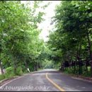 다정목장 이미지