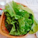 하가수산