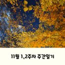 지에스(GS)25 대구상인화성점 | 2025년 11월 1,2주차 주간일기