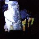 나주호농장 이미지