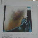 변호사회관 이미지