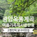 청정민박 | 광양 옥룡계곡 고향민박, 여름 가족 피서 끝판왕! (feat. 숯불 닭구이 맛집)