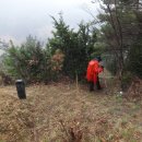 질재로 4 이미지