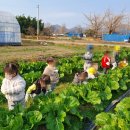 꼬꼬마어린이집 이미지