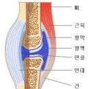스타일피트 이미지