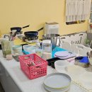 퍼피원데이 이미지