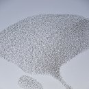 월드포장 이미지