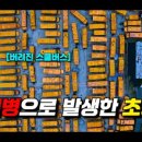 마인드뷰