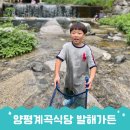시원한 당일치기 양평계곡 펜션 식당 발해가든 추천후기