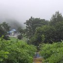 두루봉농원 이미지