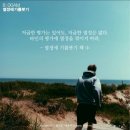 온니다 이미지