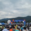 제18회 청도반시 전국마라톤대회(하프) 후기