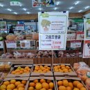 고림농장 이미지