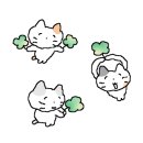 나야김치찜 이미지