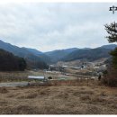 송실농장 네이버블로그