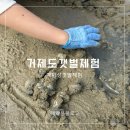 대금어촌체험휴양마을 | 거제도 갯벌체험 매미성 입장료 준비물 물때시간 주차