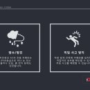 나인에코카 이미지