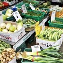 장미제일시장 이미지