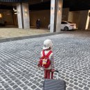 가천목장 | 남해 1박2일 여행코스 아이랑 가기좋은곳 숙소, 관광지 총정리