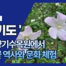 향기나라화원