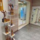 피티가치 시청 연산 이미지