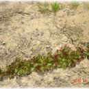 유현농장 이미지