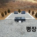 용문장의사