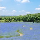 태신목장 이미지