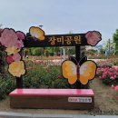 장미공원 농구장