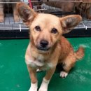 무선2길 이미지