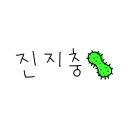데일리샤 이미지