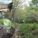 덕양초교 이미지