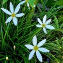 한스행정사사무소 이미지