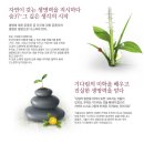 숨37도 화장품 세트 추천 :: 숨37 화이트 어워드 사용후기 &amp; 숨37도 시크릿 리페어 컨센트레이트 사용...