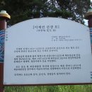 이계전 묘 이미지