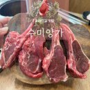 [잠실/방이 맛집] 수미양가 후기. 잠실 송리단길 양고기 맛집 추천