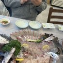 금호돈 | 통영금호리조트맛집 금호횟집 감성동 정말 맛나네요내돈내산솔직후기