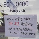 메밀밭에가시리