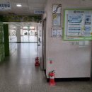 와동체육관 이미지