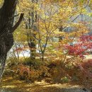 송림농원 이미지