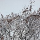 활터어린이공원 이미지